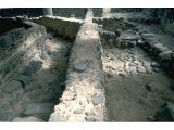 Capernaum - Peter`s House